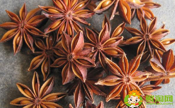 八角是罂粟吗,假八角与真八角的区别