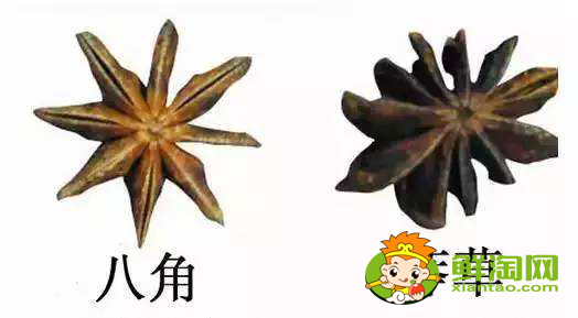 大料的真假如何区分,大料的价格与等级区分