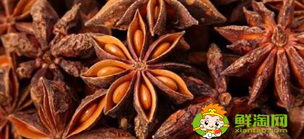 八角茴香产地都是哪里,八角茴香产地主要分别在什么地方