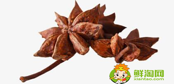 大料和八角是一个东西吗，大料和八角的区别图片