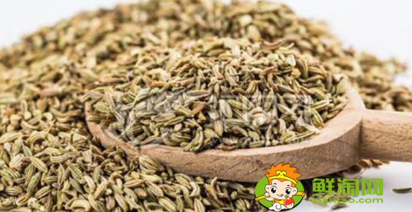 八角茴香怎么挑选,小茴香和八角茴香的区别