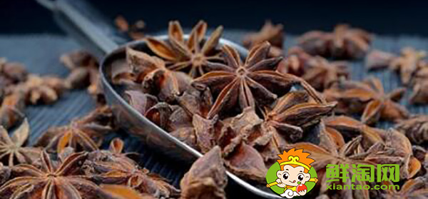 八角茴香怎么挑选,小茴香和八角茴香的区别