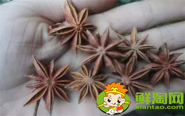 假八角中毒了怎么办,吃了莽草怎么解毒