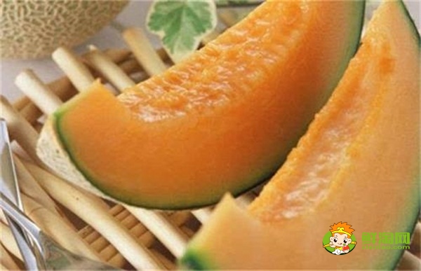 哈密瓜怎么挑皮厚皮薄,哈密瓜怎么保存