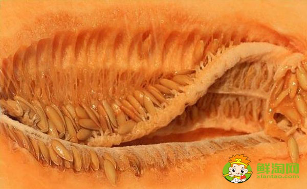 哈密瓜里面的籽能吃吗,夏天哈密瓜怎么保存