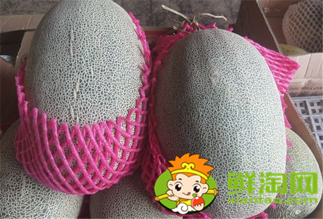 西州蜜瓜怎么挑选,西州蜜25和17区别