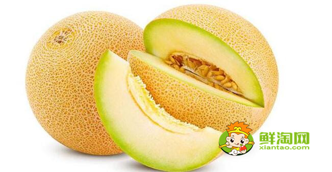 哈密瓜和西周密瓜有什么区别,西州蜜瓜产地