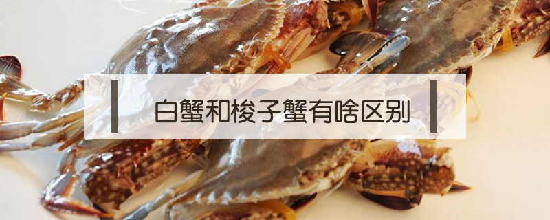 白蟹和梭子蟹有啥区别