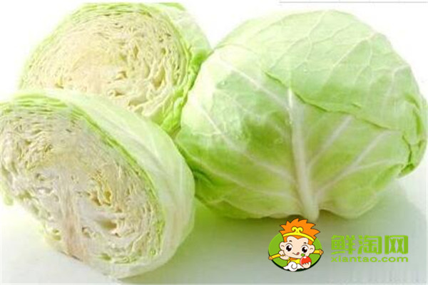 包菜用水煮多久好,包菜一般炒多久