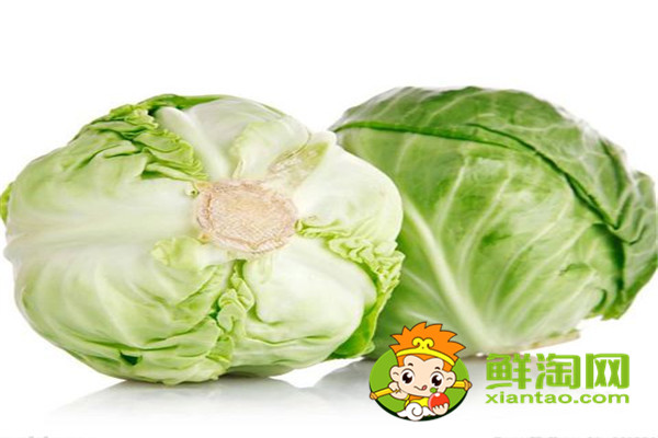 7月份可以种包菜吗,矿石镇卷心菜成熟时间