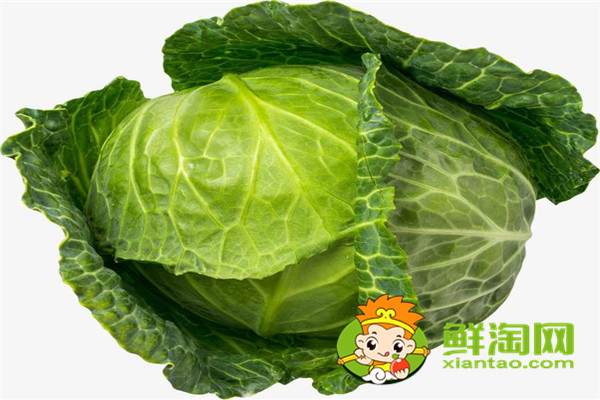 包菜买松的还是买紧的,圆包菜和平包菜哪个好吃