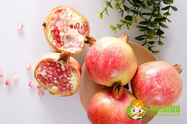 枣庄大青皮石榴的特点,大青皮甜石榴最优秀品种