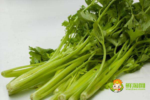 洋葱芹菜能一起炒吗,新鲜芹菜叶怎么做好吃