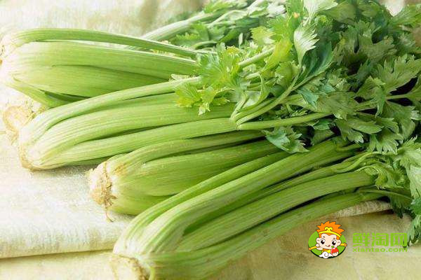 芹菜是什么季节的蔬菜,水芹是什么季节的菜