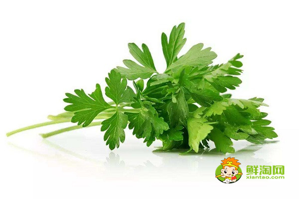 芹菜叶不焯水能吃吗,新鲜芹菜叶怎么做好吃