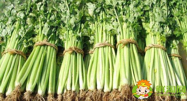 芹菜怎么处理比较脆,芹菜怎么处理没有筋