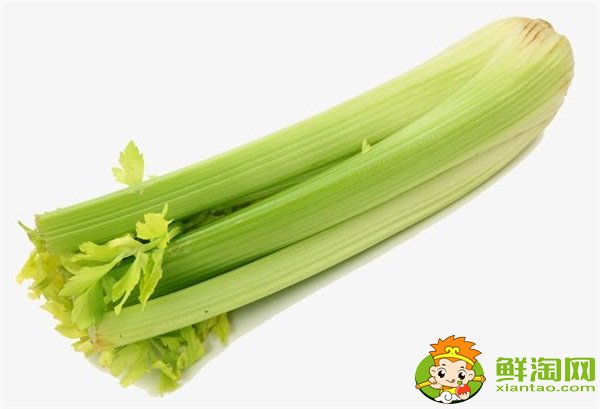 芹菜和西芹的区别,西芹和芹菜哪个营养好