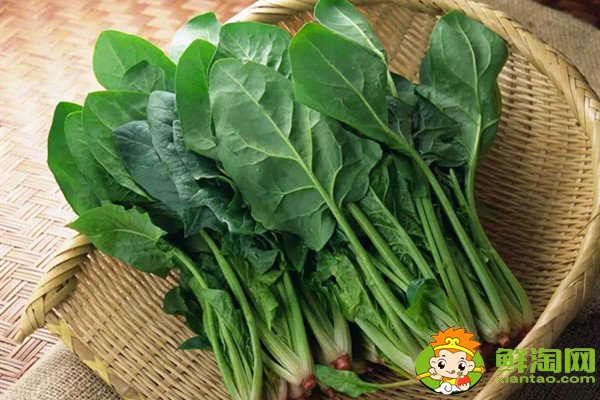 菠菜根色是什么颜色,葱和菠菜的根有什么不同