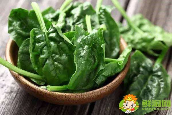 菠菜吃叶子还是茎,菠菜的营养都在根上吗