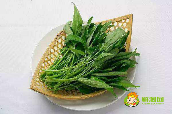 秋天为什么要少吃空心菜，这些人最好不要再吃空心菜啦！