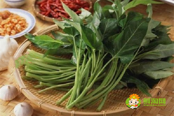 空心菜烫多久能熟,这么做空心菜好吃又好看