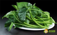 空心菜需要切断吗,炒空心菜几分钟熟