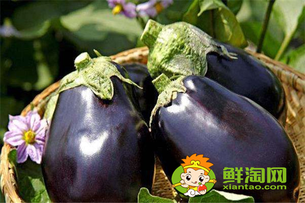 微波炉烤茄子然后再红烧可以吗,红烧茄子最简单的做法