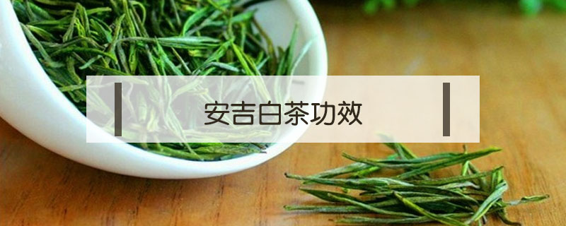 安吉白茶功效