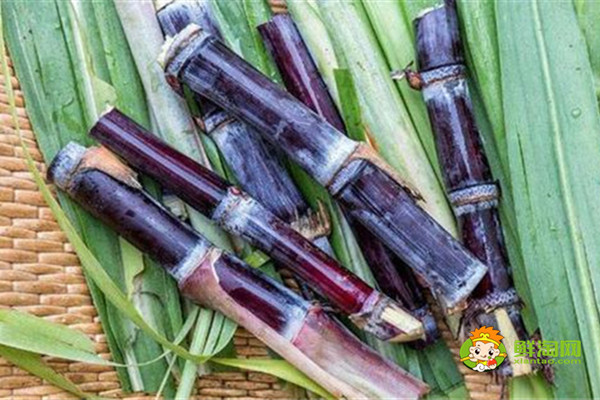 黑皮甘蔗吃了会胖吗,不仅不会胖,适当吃还可以减肥