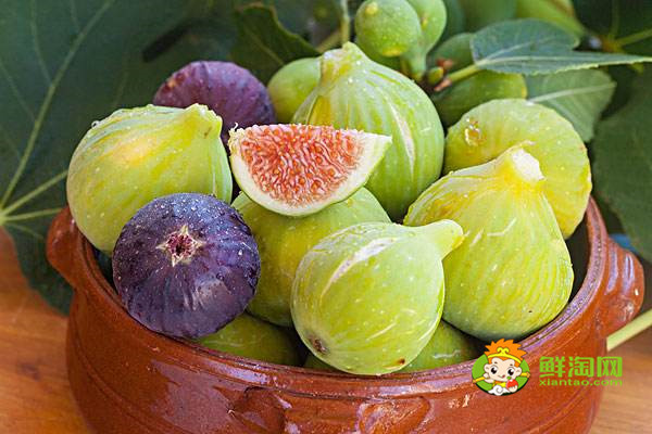 新鲜无花果的吃法和功效,无花果可以生吃、泡水喝等
