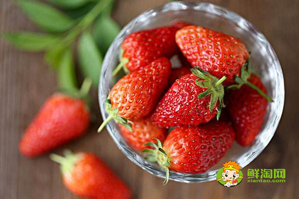 反季节草莓几月份熟,怎么挑选草莓好吃