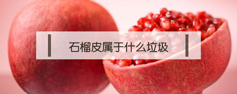 石榴皮属于什么垃圾