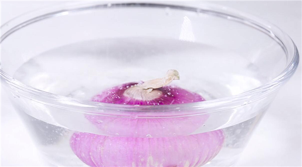 洋葱怎么切块图解