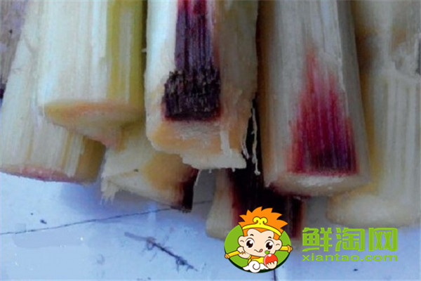 糖尿病人可以吃甘蔗吗,为什么霉变的甘蔗不能吃