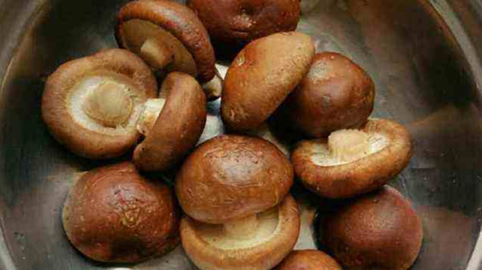 香菇油菜的做法