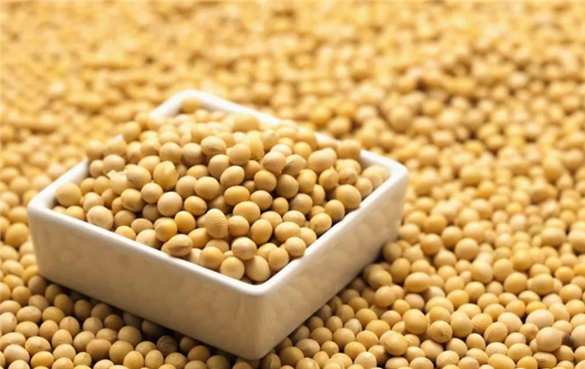 降脂最快的十种食物，脂肪最怕的十种蔬菜