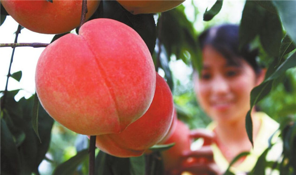 山东特产有哪些土特产,山东最出名特产零食