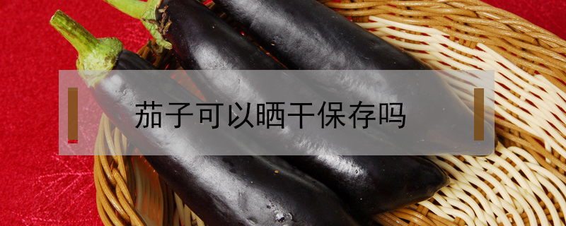 茄子可以晒干保存吗