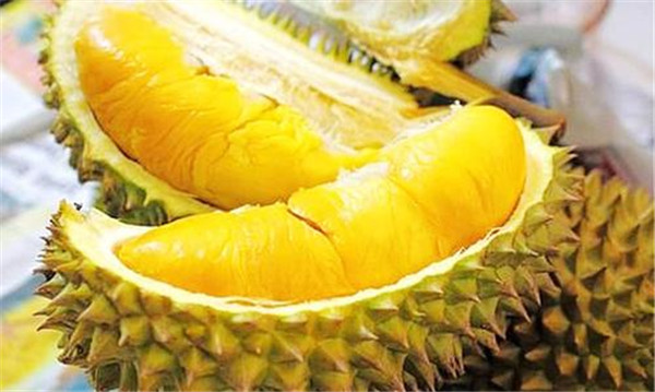 榴莲为什么那么贵,榴莲为什么那么臭