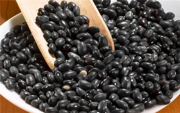 冬季养生必吃十种食物,冬天适合吃什么养生食物