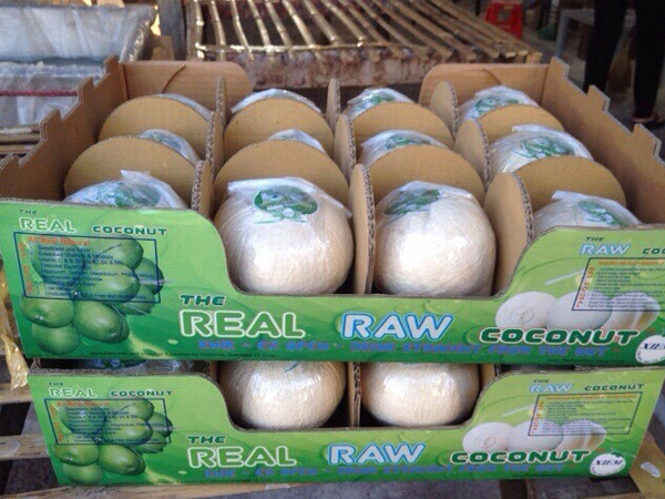 越南鲜食椰子:对华出口大增或近18亿元 首批陆运货物河口口岸入境